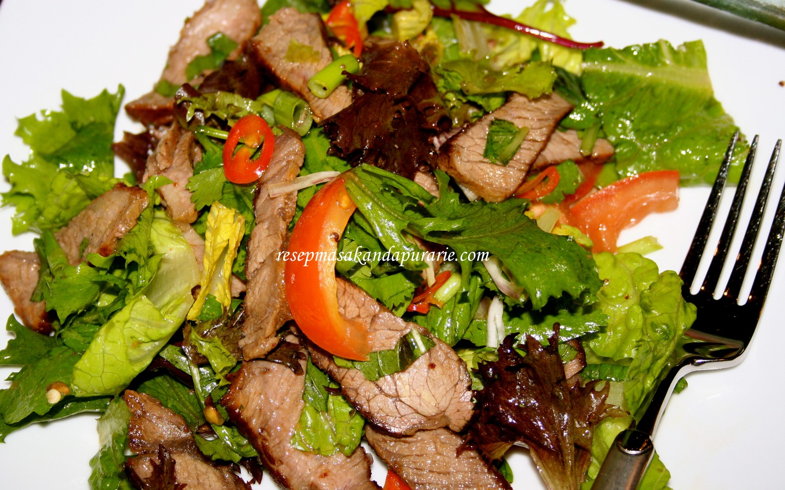 Resep Cara Membuat Salad Daging Sapi ala Thailand - Resep 